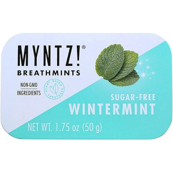 Blast Breathmints Sugar-Free, Wintermynt Flavor, 1.75-Ounce Containers (Pack of 2) Long-Lasting Fresh Breath Mints