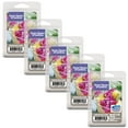 thumbnail image 1 of Blast from the Past Collection: Wild Island Fruit Scented Wax Melts, Better Homes & Gardens, 2.5 oz (5-Pack), 1 of 7