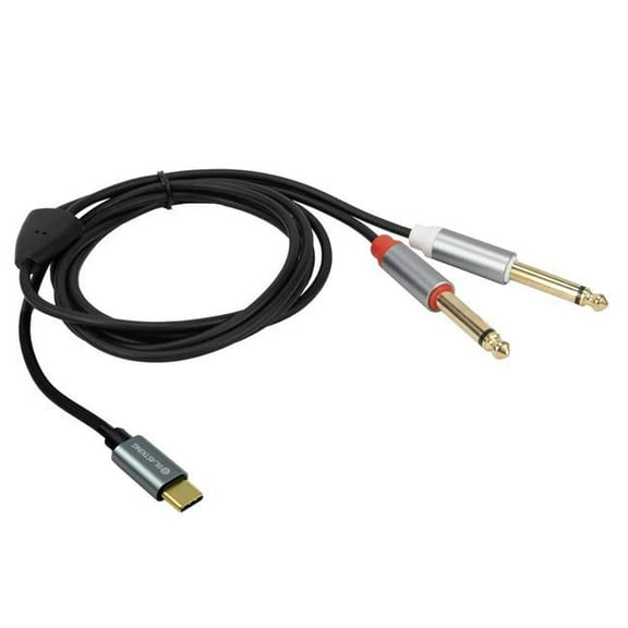 Blast King C2QTC-6 Usb-c Dual 1/4 Audio Cable 6f