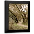 thumbnail image 1 of Blaustein, Alan 11x14 Black Modern Framed Museum Art Print Titled - Oak Tree - 49, 1 of 5