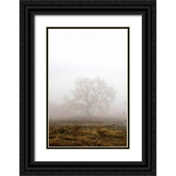 Blaustein, Alan 11x14 Black Ornate Wood Framed with Double Matting Museum Art Print Titled - Oak Tree - 29