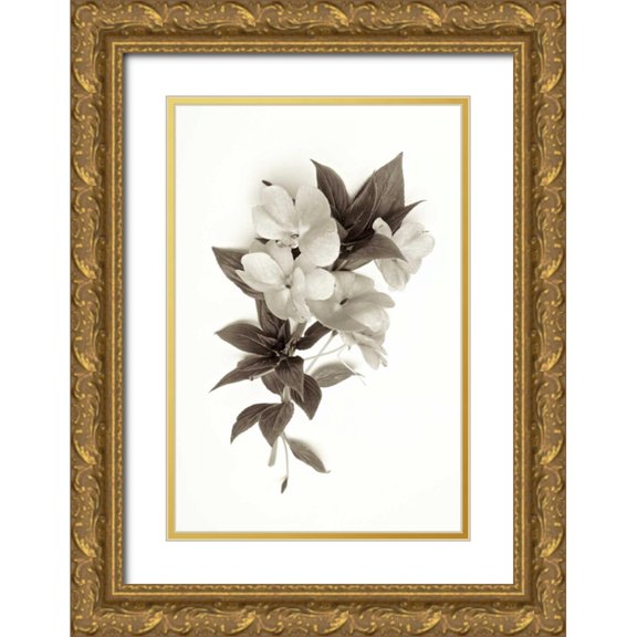 Blaustein, Alan 11x14 Gold Ornate Wood Framed with Double Matting Museum Art Print Titled - Garden Bloom - 4