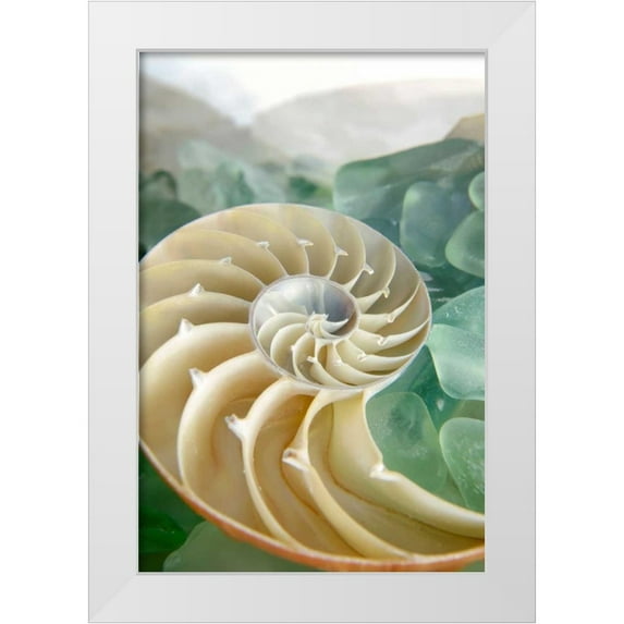 Blaustein, Alan 11x14 White Modern Wood Framed Museum Art Print Titled - Crystal Cove - 27