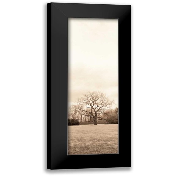 Blaustein, Alan 11x24 Black Modern Framed Museum Art Print Titled - Chestnut Tree