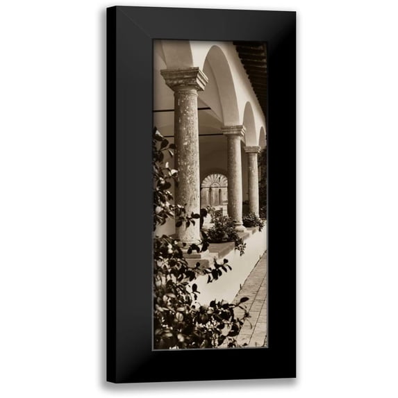 Blaustein, Alan 11x24 Black Modern Framed Museum Art Print Titled - Portico Toscana