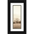 thumbnail image 1 of Blaustein, Alan 11x24 Black Ornate Wood Framed with Double Matting Museum Art Print Titled - Chestnut Tree, 1 of 4