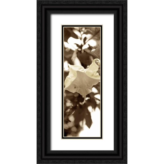 Blaustein, Alan 11x24 Black Ornate Wood Framed with Double Matting Museum Art Print Titled - Florison - 78