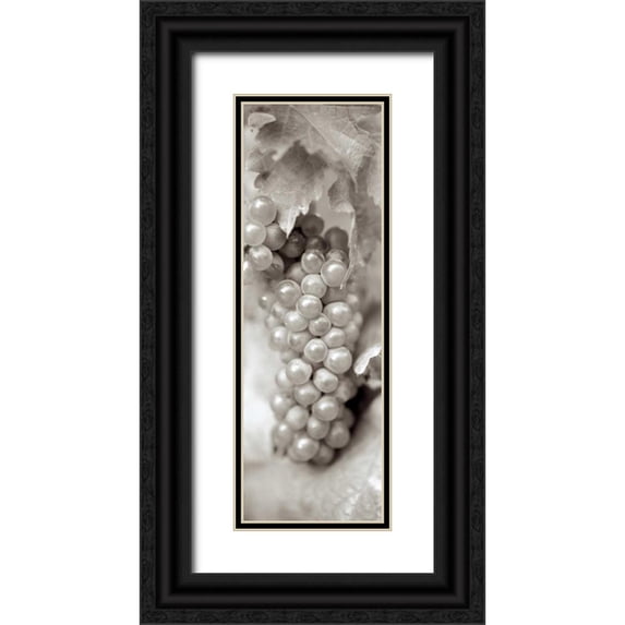 Blaustein, Alan 11x24 Black Ornate Wood Framed with Double Matting Museum Art Print Titled - Grapes Pano - 5