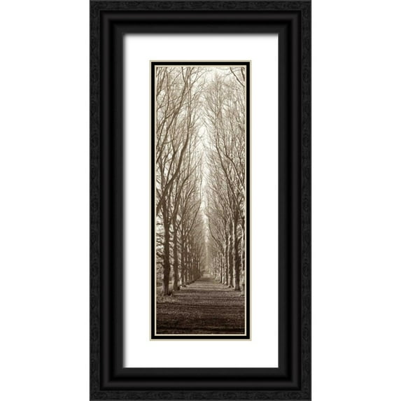 Blaustein, Alan 11x24 Black Ornate Wood Framed with Double Matting Museum Art Print Titled - Hampton Gates Promenade