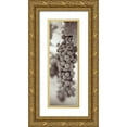 thumbnail image 1 of Blaustein, Alan 11x24 Gold Ornate Wood Framed with Double Matting Museum Art Print Titled - Grapes Pano - 3, 1 of 4