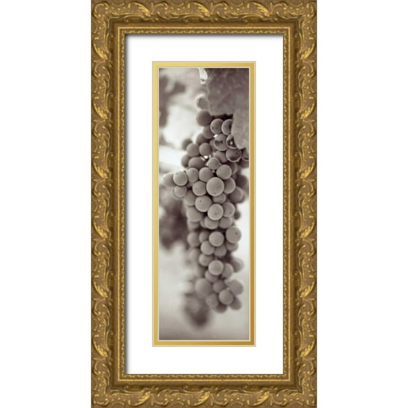 Blaustein, Alan 11x24 Gold Ornate Wood Framed with Double Matting Museum Art Print Titled - Grapes Pano - 3