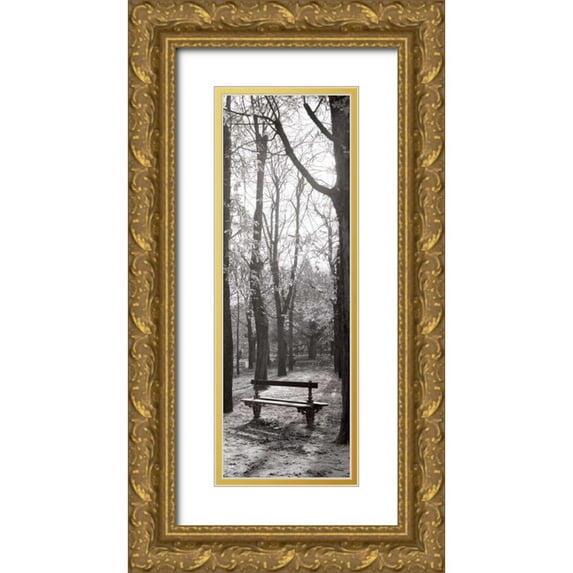 Blaustein, Alan 11x24 Gold Ornate Wood Framed with Double Matting Museum Art Print Titled - Jardin du Luxembourg Banc