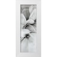 thumbnail image 1 of Blaustein, Alan 11x24 White Modern Wood Framed Museum Art Print Titled - Magnolia - 2, 1 of 4