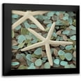 thumbnail image 1 of Blaustein, Alan 12x12 Black Modern Framed Museum Art Print Titled - Aquatic 1, 1 of 5