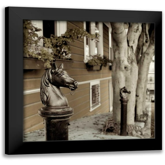 Blaustein, Alan 12x12 Black Modern Framed Museum Art Print Titled - Hitching Post - 5