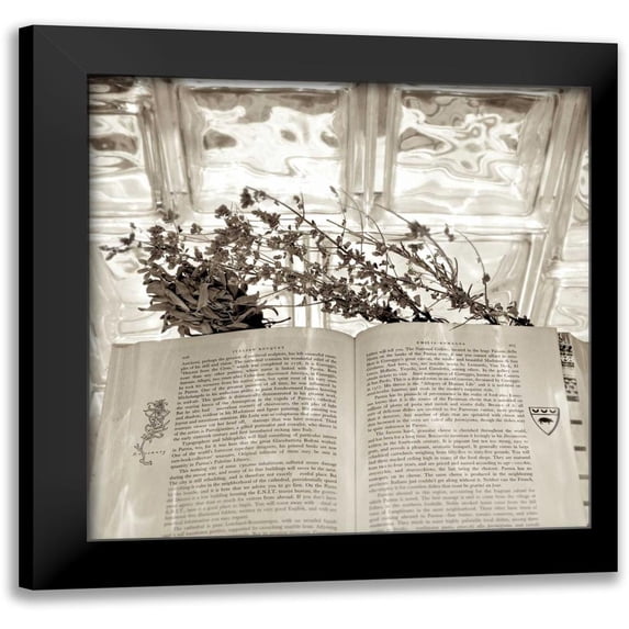 Blaustein, Alan 12x12 Black Modern Framed Museum Art Print Titled - Holiday - 9