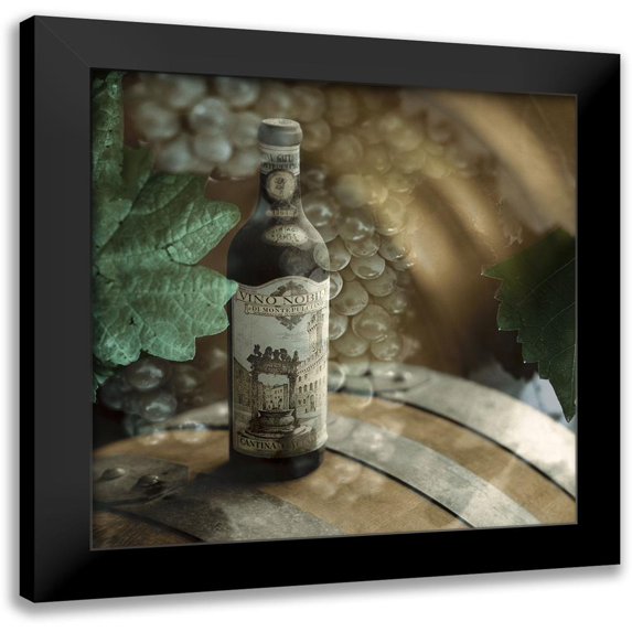 Blaustein, Alan 12x12 Black Modern Framed Museum Art Print Titled - Montepulciano Vineyard #2