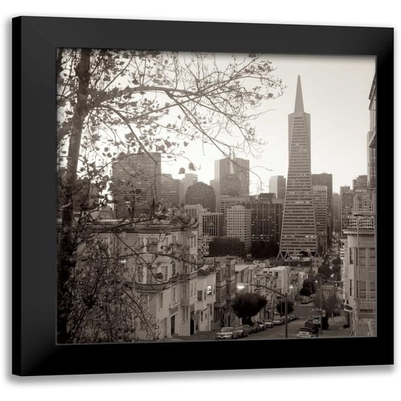 Blaustein, Alan 12x12 Black Modern Framed Museum Art Print Titled - SF Skyline - 3
