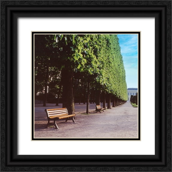 Blaustein, Alan 12x12 Black Ornate Wood Framed with Double Matting Museum Art Print Titled - French Jardin No. 9
