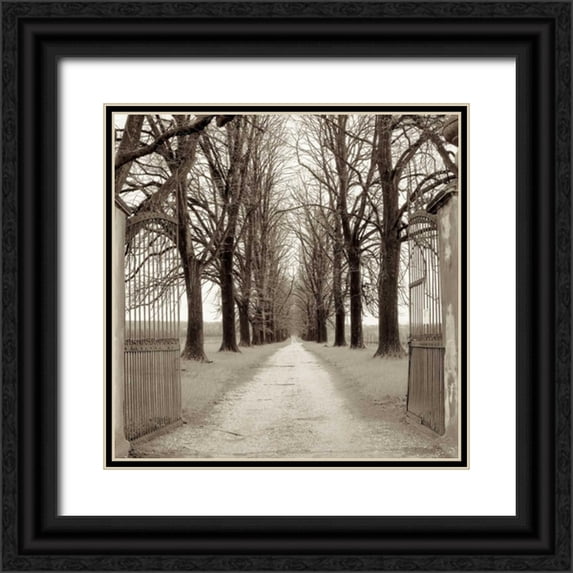 Blaustein, Alan 12x12 Black Ornate Wood Framed with Double Matting Museum Art Print Titled - Veneto Giardini - 1