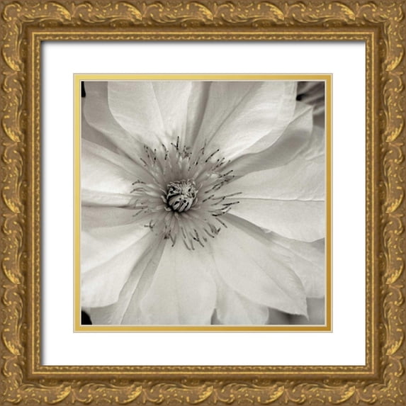 Blaustein, Alan 12x12 Gold Ornate Wood Framed with Double Matting Museum Art Print Titled - Florison - 32