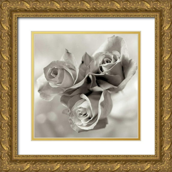 Blaustein, Alan 12x12 Gold Ornate Wood Framed with Double Matting Museum Art Print Titled - Florison - 36