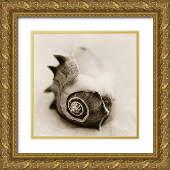 Blaustein, Alan 12x12 Gold Ornate Wood Framed with Double Matting Museum Art Print Titled - La Playa No2