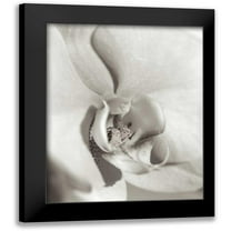 Blaustein, Alan 12x14 Black Modern Framed Museum Art Print Titled - Florison - 22