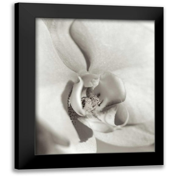 Blaustein, Alan 12x14 Black Modern Framed Museum Art Print Titled - Florison - 22