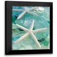 thumbnail image 1 of Blaustein, Alan 12x14 Black Modern Framed Museum Art Print Titled - Seaglass 1, 1 of 5