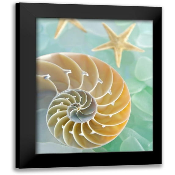 Blaustein, Alan 12x14 Black Modern Framed Museum Art Print Titled - Seaglass 2