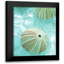 Blaustein, Alan 12x14 Black Modern Framed Museum Art Print Titled - Seaglass 4