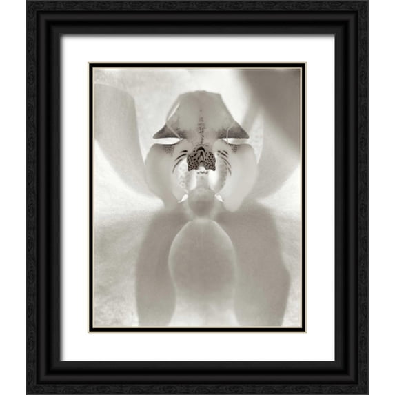 Blaustein, Alan 12x14 Black Ornate Wood Framed with Double Matting Museum Art Print Titled - Florison - 26
