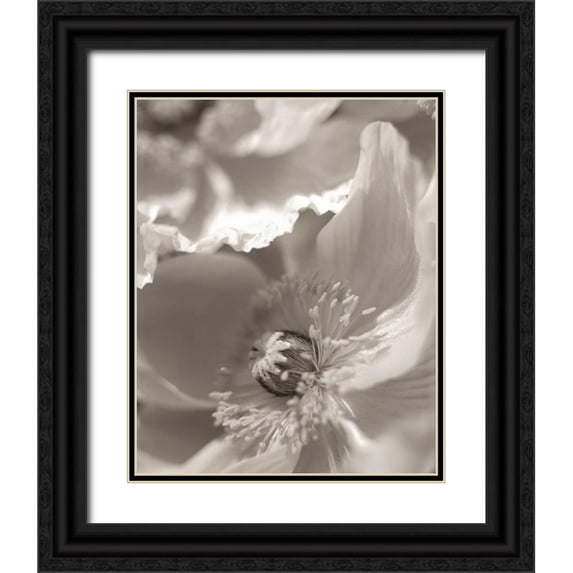 Blaustein, Alan 12x14 Black Ornate Wood Framed with Double Matting Museum Art Print Titled - Florison - 7