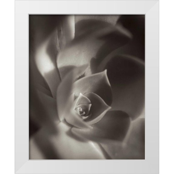 Blaustein, Alan 12x14 White Modern Wood Framed Museum Art Print Titled - Florison - 11