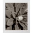thumbnail image 1 of Blaustein, Alan 12x14 White Modern Wood Framed Museum Art Print Titled - Florison - 6, 1 of 4