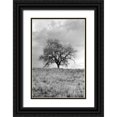 thumbnail image 1 of Blaustein, Alan 13x18 Black Ornate Wood Framed with Double Matting Museum Art Print Titled - Coastal Oak Series No. 26, 1 of 4