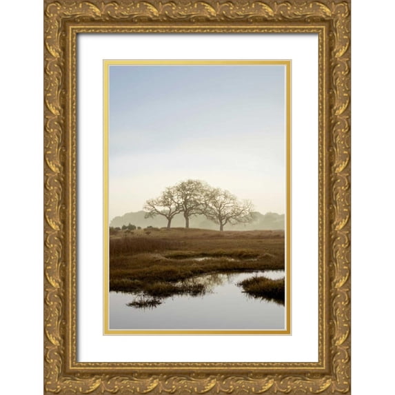 Blaustein, Alan 13x18 Gold Ornate Wood Framed with Double Matting Museum Art Print Titled - Oak Tree - 66