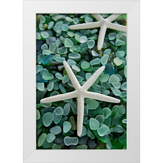 Blaustein, Alan 13x18 White Modern Wood Framed Museum Art Print Titled - Crystal Harbor - 21