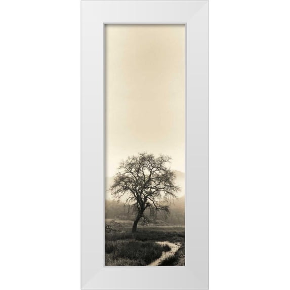 Blaustein, Alan 13x32 White Modern Wood Framed Museum Art Print Titled - Valley Oak Tree