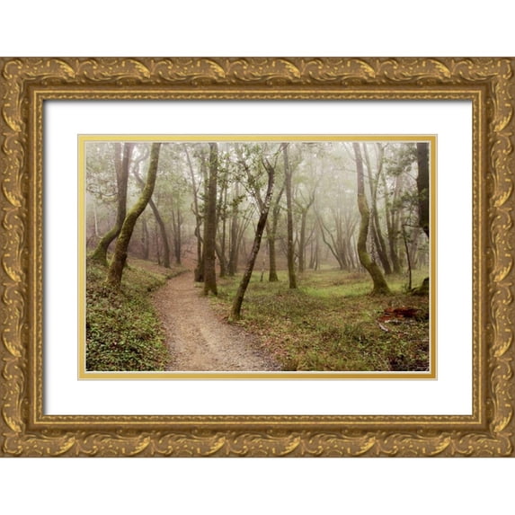Blaustein, Alan 14x11 Gold Ornate Wood Framed with Double Matting Museum Art Print Titled - Oak Tree - 21