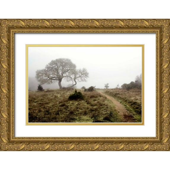 Blaustein, Alan 14x11 Gold Ornate Wood Framed with Double Matting Museum Art Print Titled - Oak Tree - 25