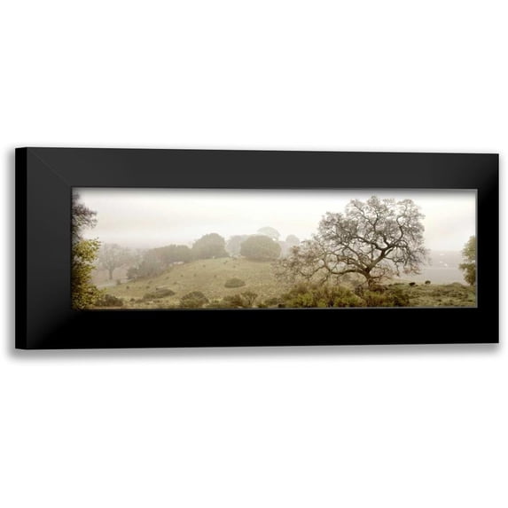Blaustein, Alan 14x7 Black Modern Framed Museum Art Print Titled - Pano Version 4