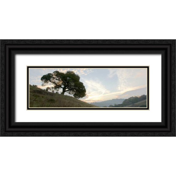 Blaustein, Alan 14x7 Black Ornate Wood Framed with Double Matting Museum Art Print Titled - Oak Tree - 13