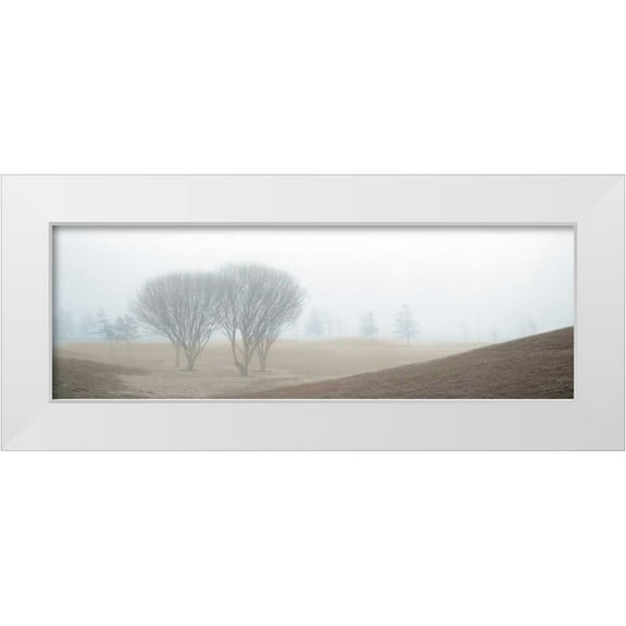 Blaustein, Alan 14x7 White Modern Wood Framed Museum Art Print Titled - Coastal Trail