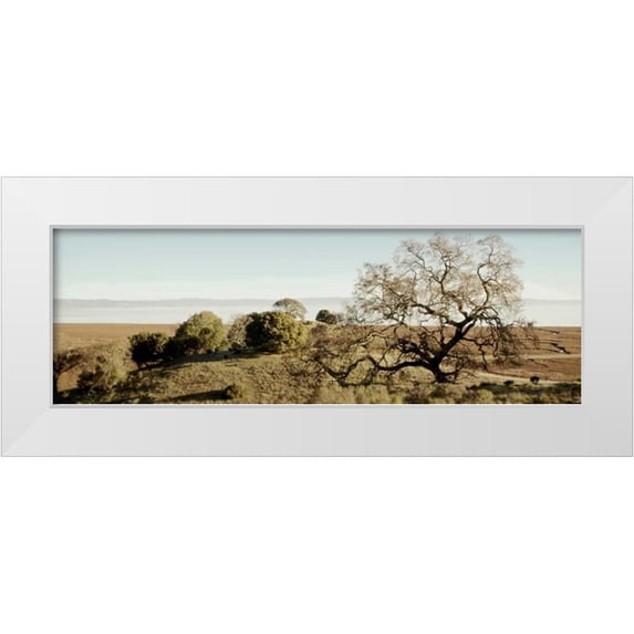 Blaustein, Alan 14x7 White Modern Wood Framed Museum Art Print Titled - Oak Tree - 37