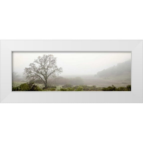Blaustein, Alan 14x7 White Modern Wood Framed Museum Art Print Titled - Oak Tree - 55