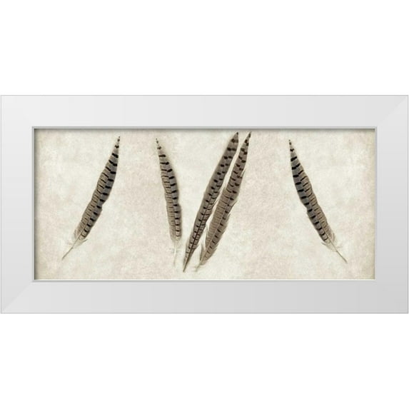 Blaustein, Alan 14x8 White Modern Wood Framed Museum Art Print Titled - Feather Panel - 2