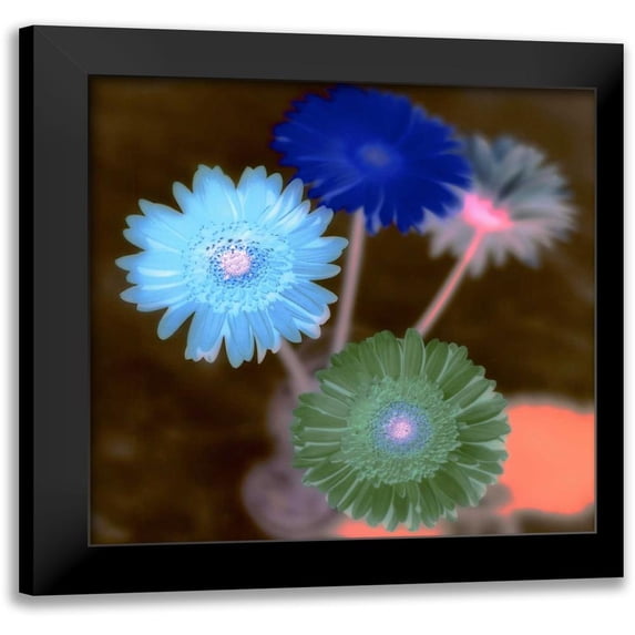 Blaustein, Alan 15x15 Black Modern Framed Museum Art Print Titled - Floral Color - 4