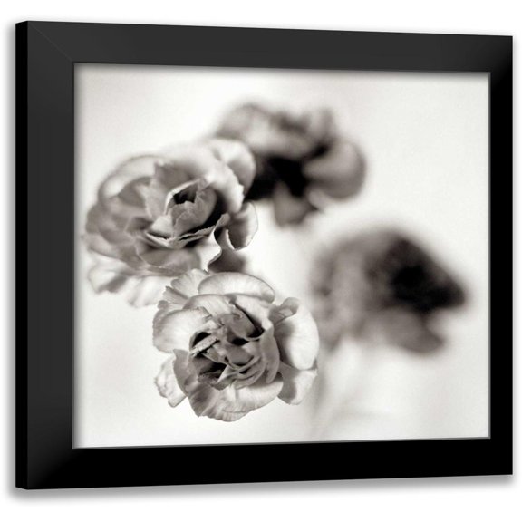 Blaustein, Alan 15x15 Black Modern Framed Museum Art Print Titled - Florison - 39